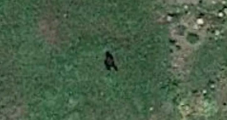 'Bigfoot' Spotted On Google Earth? - Nexus Newsfeed